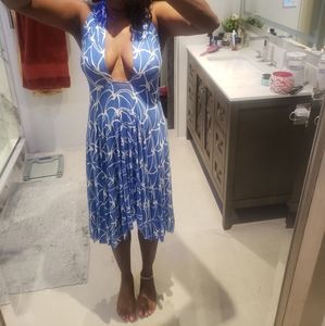 Rachel Pally blue dress